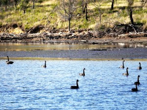 Caroltonriver 300X225