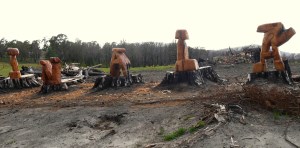 Inala Road 300X148