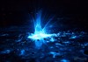 Bioluminescence lighting up the water