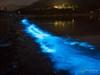 Bioluminescence lighting up the water at Eaglehawk neck