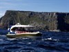 Cruise boat and Tasman Island