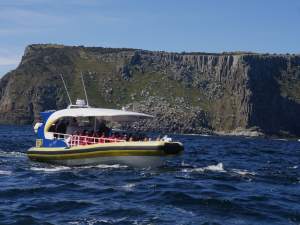 Tasman Island