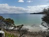 Explore the rocky foreshore