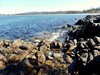 The rocky foreshore