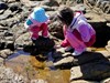 Explore the rock pools